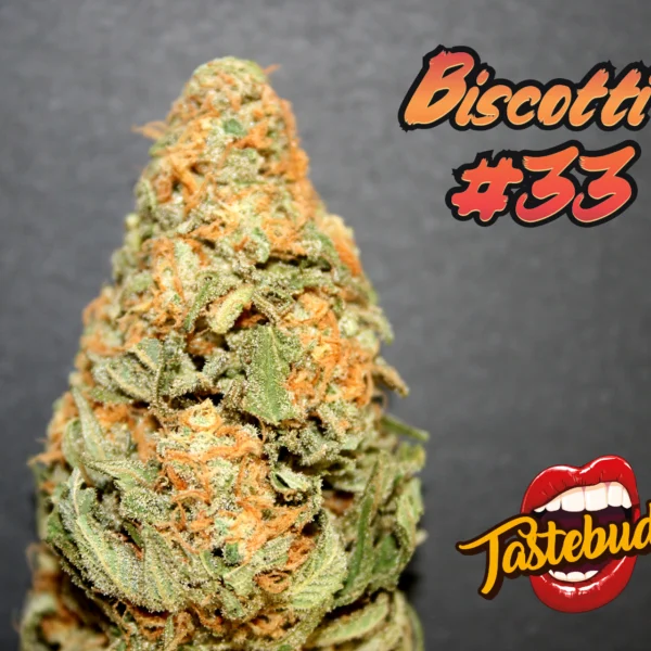 TASTEBUDZ – BISCOTTI #33 – AUTO FEM – 3 PACK