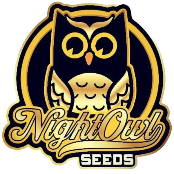 NIGHT OWL – QUEENS BANNER AUTO FEM – 3 PACK