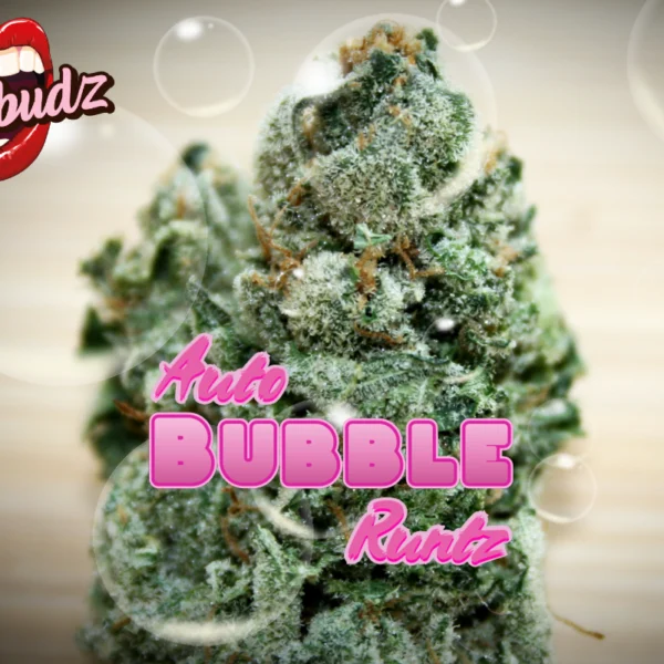 TASTEBUDZ – BUBBLE RUNTZ AUTO FEM – 3 PACK