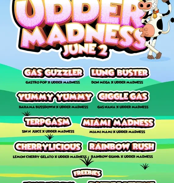 SOLFIRE GARDENS – CHERRYLICIOUS STRAIN – FEM PHOTO – 6 PACK