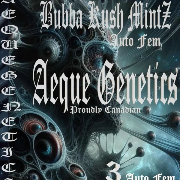AEQUE GENETICS – BUBBA KUSH MINTZ – AUTO FEM – 3 PACK