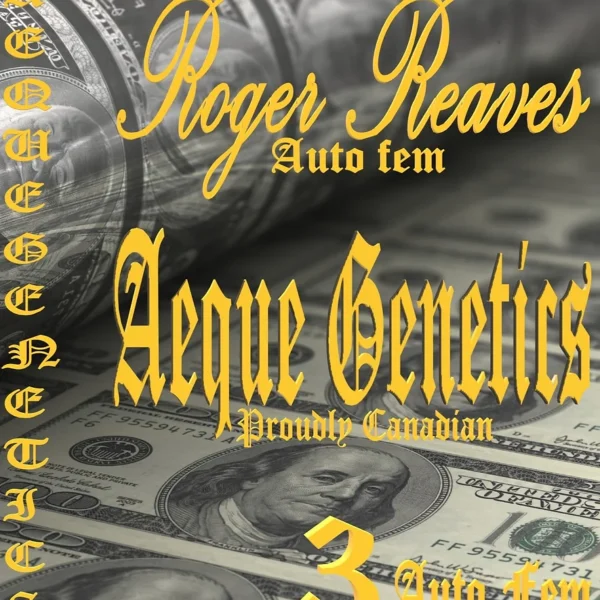 AEQUE GENETICS – ROGER REEVES – AUTO FEM – 3 PACK