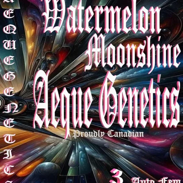 AEQUE GENETICS – WATERMELON MOONSHINE – AUTO FEM – 3 PACK