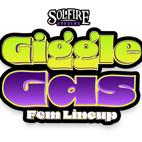 SOLFIRE GARDENS – DIAMOND IN THE BACK STRAIN – FEM PHOTO – 6 PACK