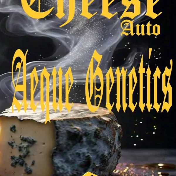 AEQUE GENETICS – CHEESE F2 – AUTO FEM – 3 PACK
