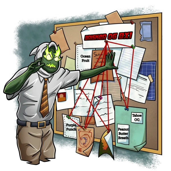 SQUARE ONE GENETICS – BRISKER OG BX1 – PHOTO FEM – 5 PACK