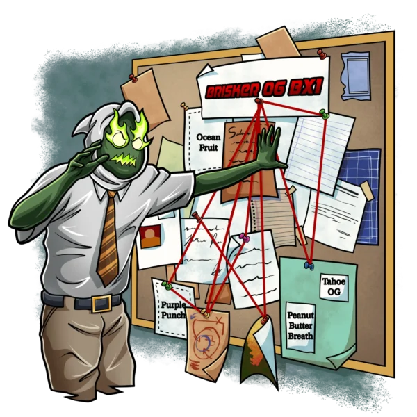 SQUARE ONE GENETICS – BRISKER OG BX1 – PHOTO FEM – 5 PACK