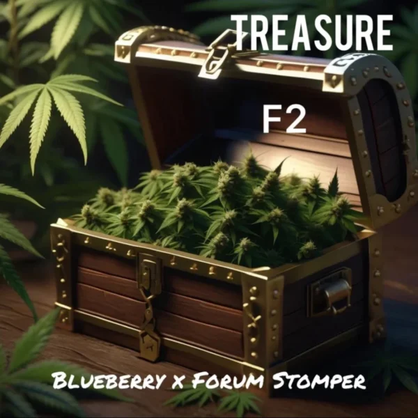 CRYSTAL CAVERNS – TREASURE F2 – AUTO FEM – 5 PACK