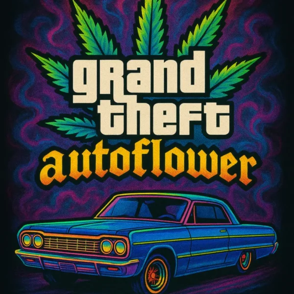CRYSTAL CAVERNS -GRAND THEFT AUTOFLOWER- AUTO FEM – 5 PACK