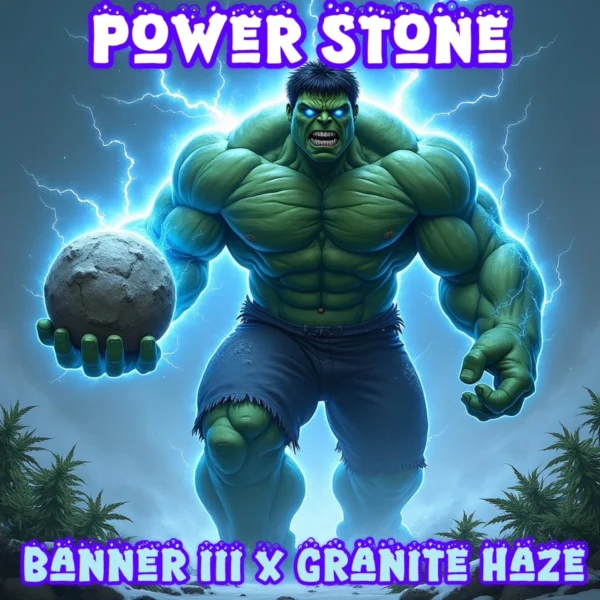 CRYSTAL CAVERNS -POWER STONE- AUTO FEM – 5 PACK