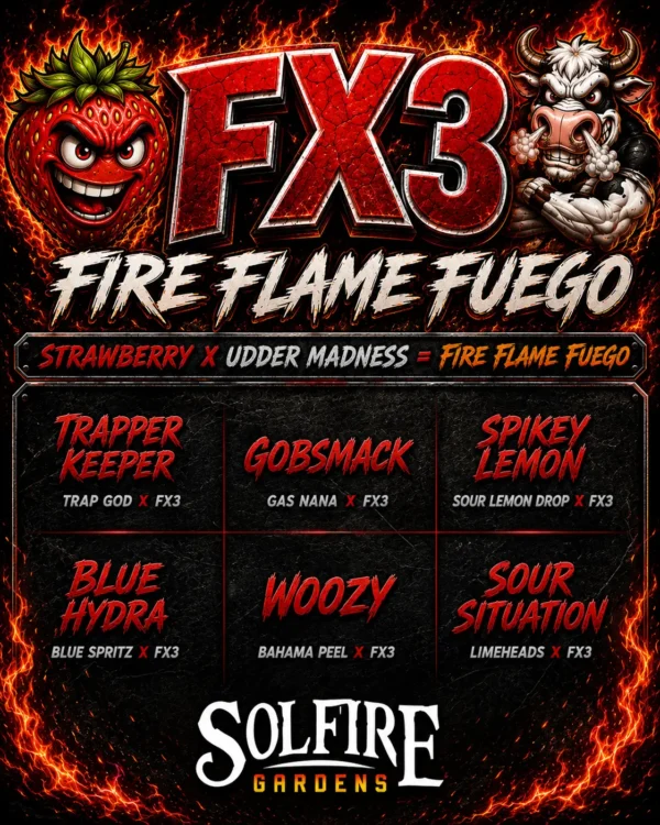 Solfire Gardens FX3 Fire Flame Fuego drop