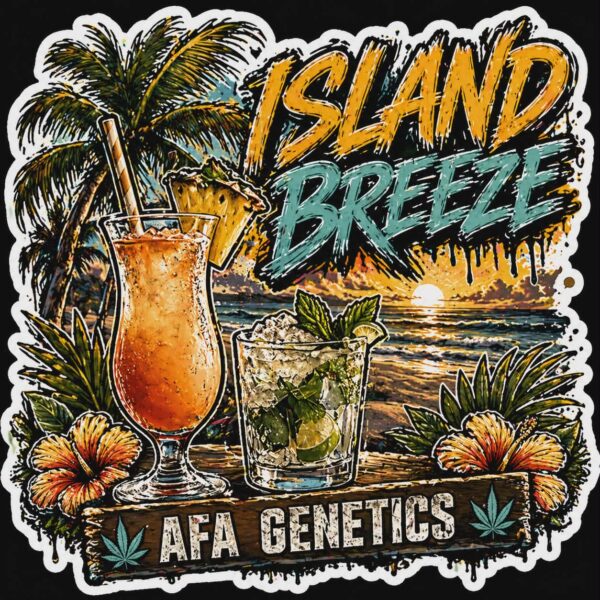 A.F.A. GENETICS – ISLAND BREEZE – AUTO FEM