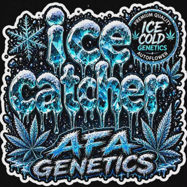 A.F.A. GENETICS – ICE CATCHER – AUTO FEM