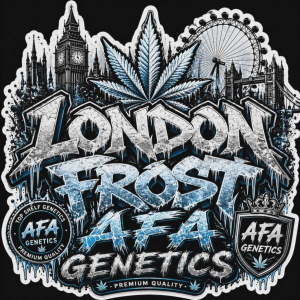 A.F.A. GENETICS – LONDON FROST – AUTO FEM