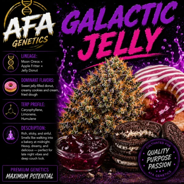 A.F.A. GENETICS – GALACTIC JELLY – AUTO FEM
