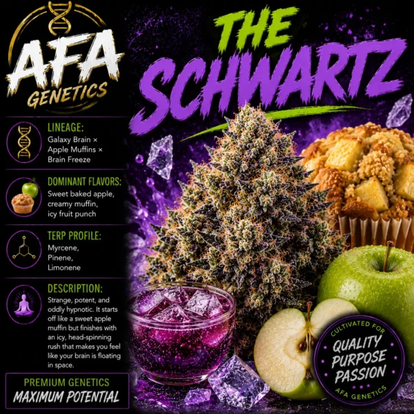 A.F.A. GENETICS – THE SCHWARTZ- AUTO FEM