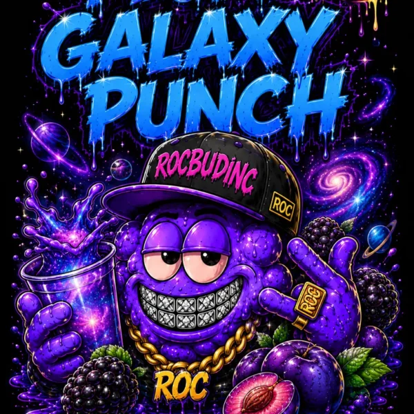 ROC BUD INC – PLUM GALAXY PUNCH – PHOTO FEM – 6 PACK